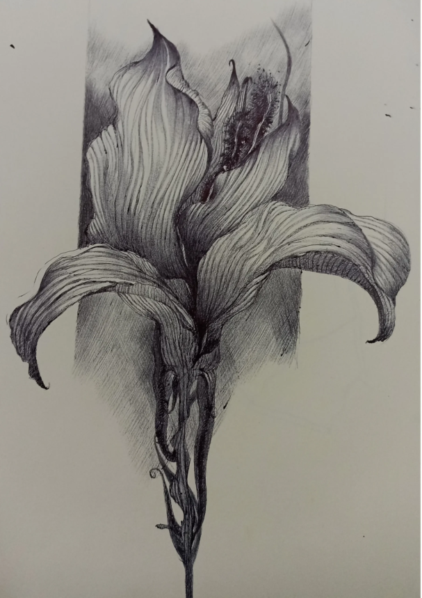 20250325_164752399_iOS