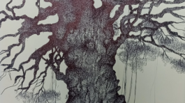 20250325_164753985_iOS