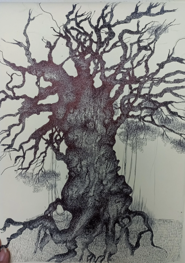 20250325_164753985_iOS