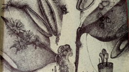 20250325_164757243_iOS