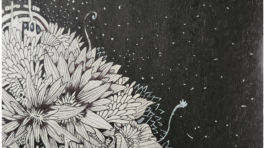 20250325_164800655_iOS