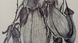 20250325_164802258_iOS