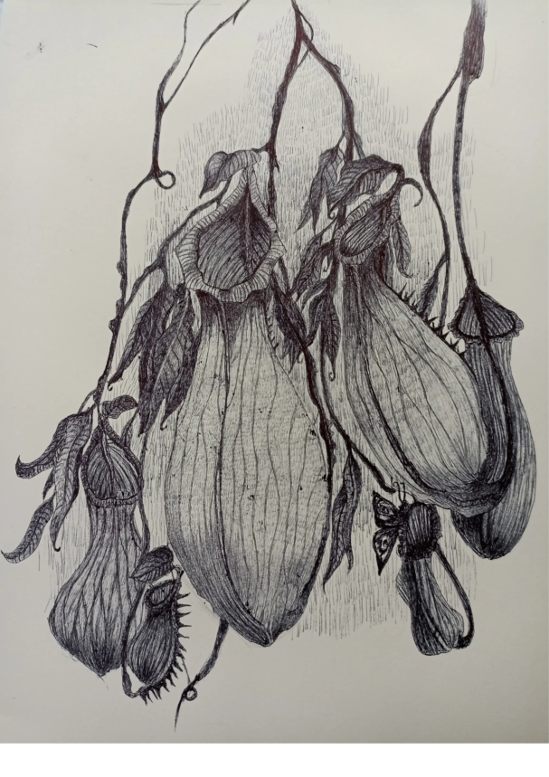 20250325_164802258_iOS