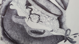 20250325_164813239_iOS