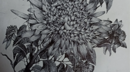 20250325_164814771_iOS