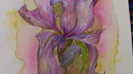 20250325_164824404_iOS