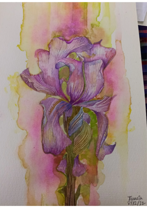 20250325_164824404_iOS