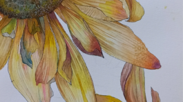 20250325_164825942_iOS