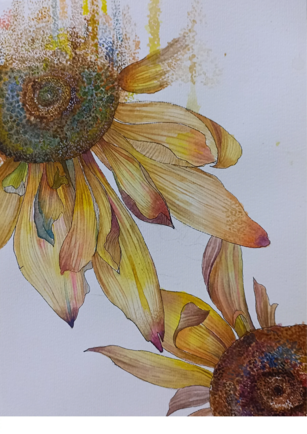 20250325_164825942_iOS