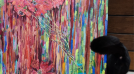 20250325_164829117_iOS