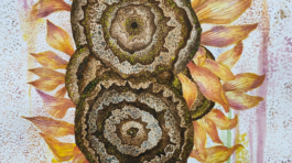 20250325_164830803_iOS