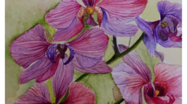 20250325_164832622_iOS