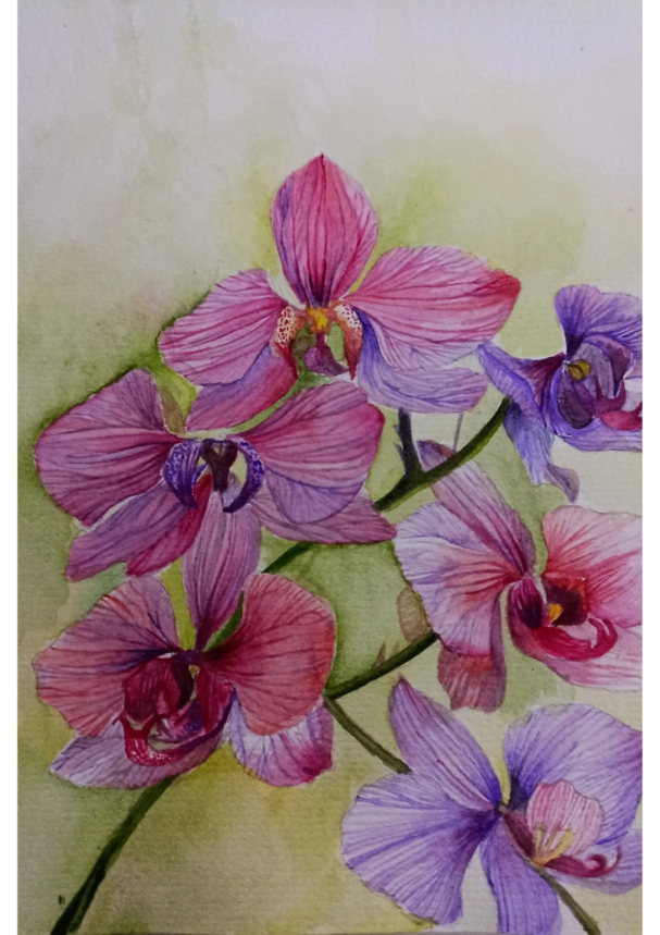 20250325_164832622_iOS