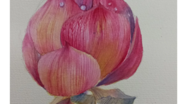 20250325_164834215_iOS