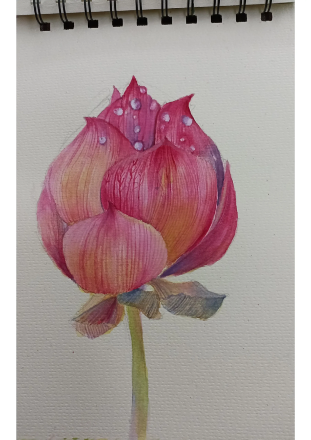 20250325_164834215_iOS