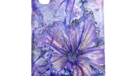 20250325_164843256_iOS