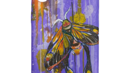 20250325_164846010_iOS